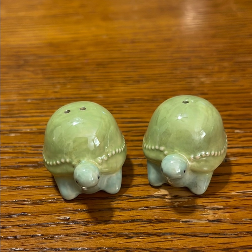 Mini Turtle Salt and Pepper Shakers 🐢🌺